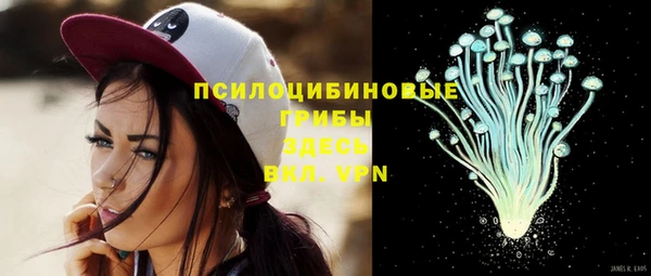 мет Арсеньев