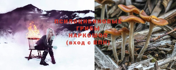 mdpv Армянск