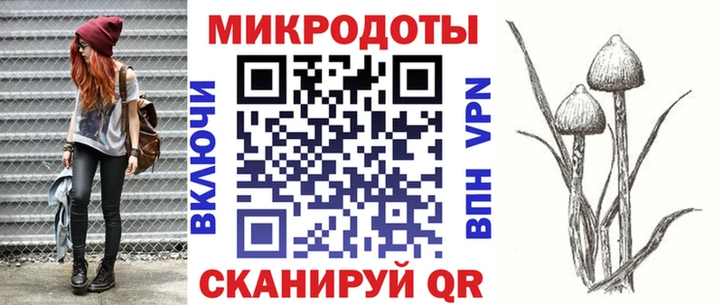 Галлюциногенные грибы мицелий  купить наркотик  Богданович 