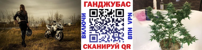 Конопля MAZAR  Богданович 